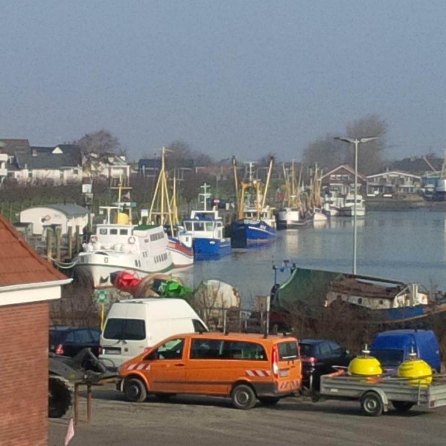 Haus Tertius - Strand- Und Hafennahe Ruhige Ferienwohnung Büsum Buitenkant foto